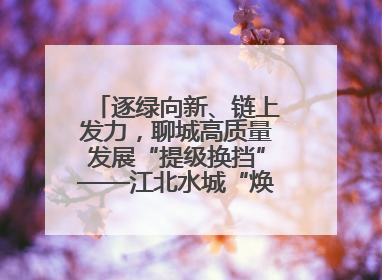 逐绿向新、链上发力，聊城高质量发展“提级换挡”——江北水城“焕新”记