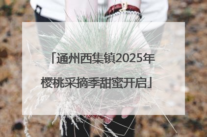 通州西集镇2025年樱桃采摘季甜蜜开启