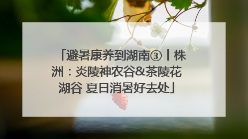 避暑康养到湖南③丨株洲：炎陵神农谷&茶陵花湖谷 夏日消暑好去处