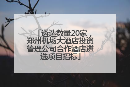 遴选数量20家，郑州机场大酒店投资管理公司合作酒店遴选项目招标