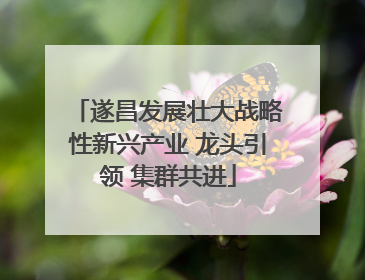 遂昌发展壮大战略性新兴产业 龙头引领 集群共进