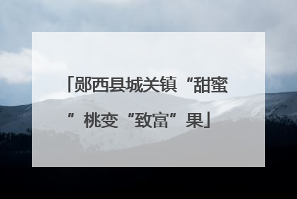 郧西县城关镇“甜蜜”桃变“致富”果