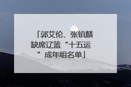 郭艾伦、张镇麟缺席辽篮“十五运”成年组名单