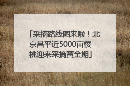 采摘路线图来啦！北京昌平近5000亩樱桃迎来采摘黄金期