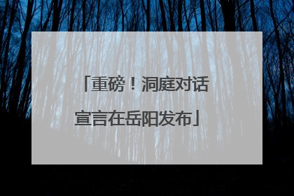 重磅！洞庭对话宣言在岳阳发布