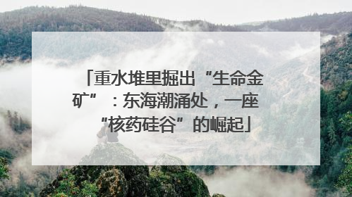 重水堆里掘出“生命金矿”：东海潮涌处，一座“核药硅谷”的崛起