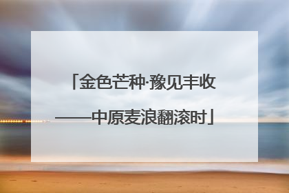 金色芒种·豫见丰收——中原麦浪翻滚时