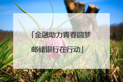 金融助力青春圆梦邮储银行在行动