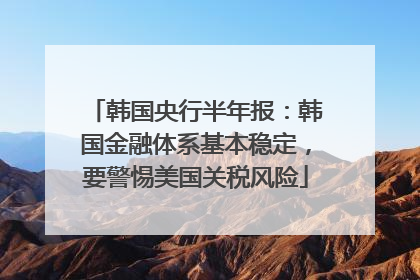 韩国央行半年报：韩国金融体系基本稳定，要警惕美国关税风险