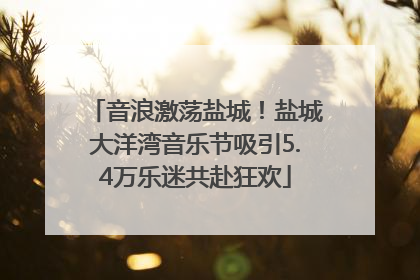 音浪激荡盐城！盐城大洋湾音乐节吸引5.4万乐迷共赴狂欢