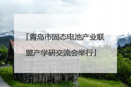 青岛市固态电池产业联盟产学研交流会举行