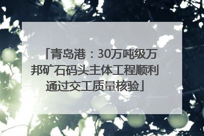 青岛港：30万吨级万邦矿石码头主体工程顺利通过交工质量核验