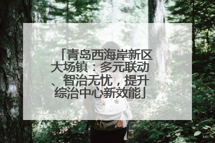 青岛西海岸新区大场镇：多元联动、智治无忧，提升综治中心新效能