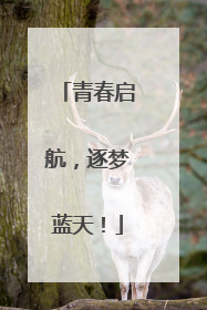 青春启航，逐梦蓝天！