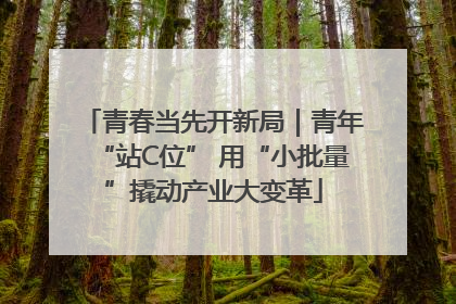 青春当先开新局｜青年“站C位” 用“小批量”撬动产业大变革