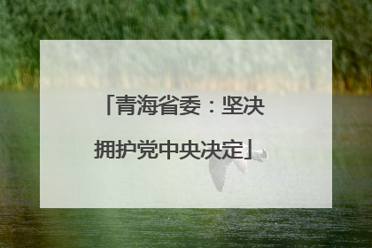青海省委：坚决拥护党中央决定