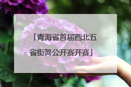 青海省首届西北五省街舞公开赛开赛