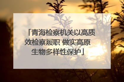青海检察机关以高质效检察履职 做实高原生物多样性保护