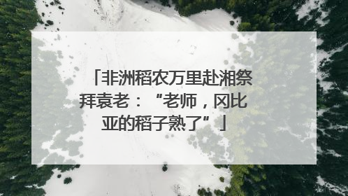 非洲稻农万里赴湘祭拜袁老：“老师，冈比亚的稻子熟了”