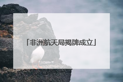非洲航天局揭牌成立