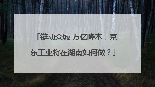 链动众城 万亿降本，京东工业将在湖南如何做？