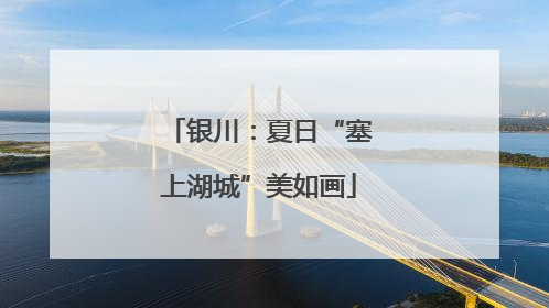 银川：夏日“塞上湖城”美如画