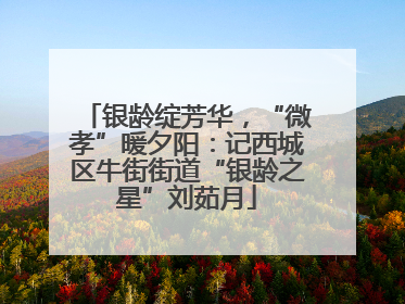 银龄绽芳华，“微孝”暖夕阳：记西城区牛街街道“银龄之星”刘茹月