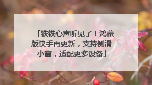 铁铁心声听见了！鸿蒙版快手再更新，支持侧滑小窗，适配更多设备