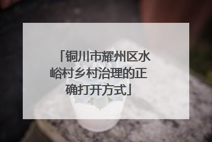 铜川市耀州区水峪村乡村治理的正确打开方式