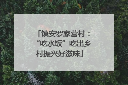 镇安罗家营村：“吃水饭”吃出乡村振兴好滋味