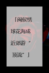 闽侯绣球花海成近郊游“顶流”