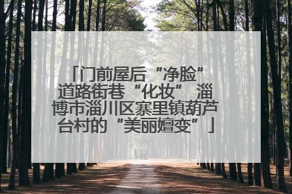 门前屋后“净脸” 道路街巷“化妆” 淄博市淄川区寨里镇葫芦台村的“美丽嬗变”