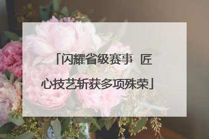 闪耀省级赛事  匠心技艺斩获多项殊荣