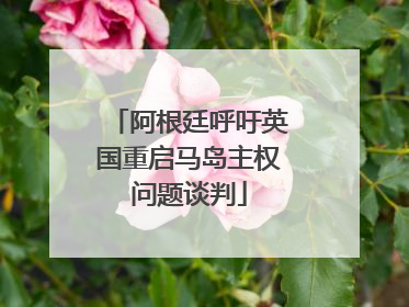 阿根廷呼吁英国重启马岛主权问题谈判
