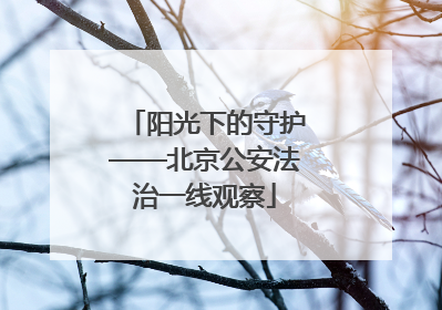 阳光下的守护——北京公安法治一线观察