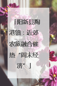 阳新县陶港镇：近郊农旅融合催热“周末经济”