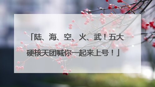 陆、海、空、火、武！五大硬核天团喊你一起来上号！