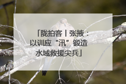 陇拍客丨张掖：以训应“汛”锻造水域救援尖兵