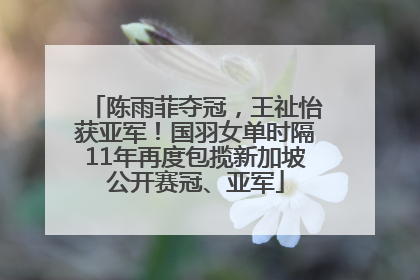 陈雨菲夺冠，王祉怡获亚军！国羽女单时隔11年再度包揽新加坡公开赛冠、亚军