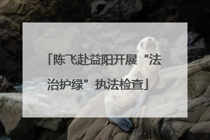 陈飞赴益阳开展“法治护绿”执法检查