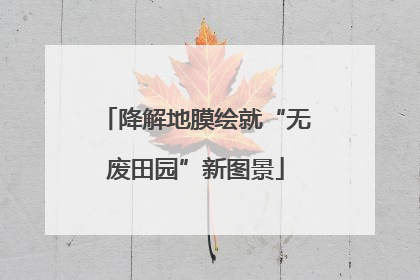 降解地膜绘就“无废田园”新图景