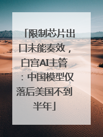 限制芯片出口未能奏效，白宫AI主管：中国模型仅落后美国不到半年