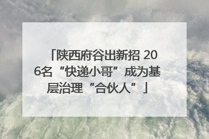 陕西府谷出新招 206名“快递小哥”成为基层治理“合伙人”