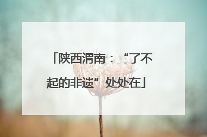 陕西渭南：“了不起的非遗”处处在