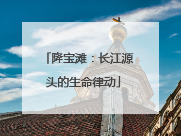 隆宝滩：长江源头的生命律动