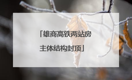雄商高铁两站房主体结构封顶