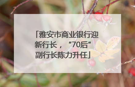 雅安市商业银行迎新行长，“70后”副行长陈力升任
