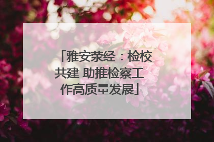 雅安荥经：检校共建 助推检察工作高质量发展