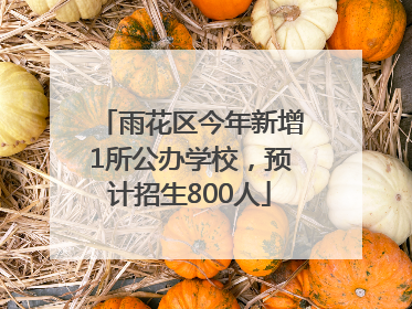 雨花区今年新增1所公办学校，预计招生800人