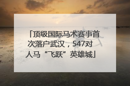 顶级国际马术赛事首次落户武汉，547对人马“飞跃”英雄城